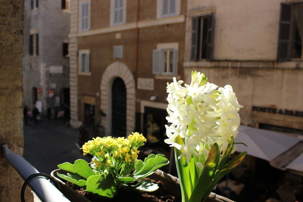 Hub Navona — Foto 3